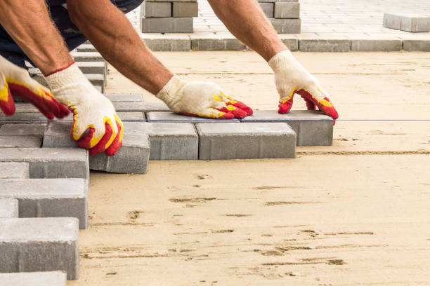 Best Driveway Repair Near Me  in Circle Pines, MN