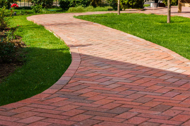 Best Driveway Paving Company  in Circle Pines, MN