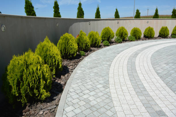 Best Professional Driveway Pavers  in Circle Pines, MN